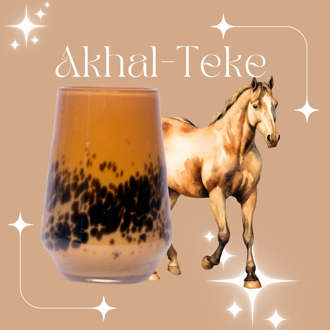 Horse Girl Facts: Akhal-Teke