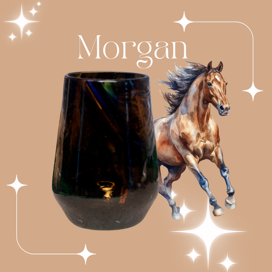 Horse Girl Facts : Morgan