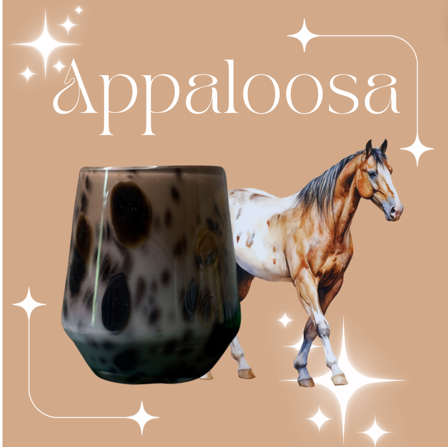 Horse Girl Facts: Appaloosa